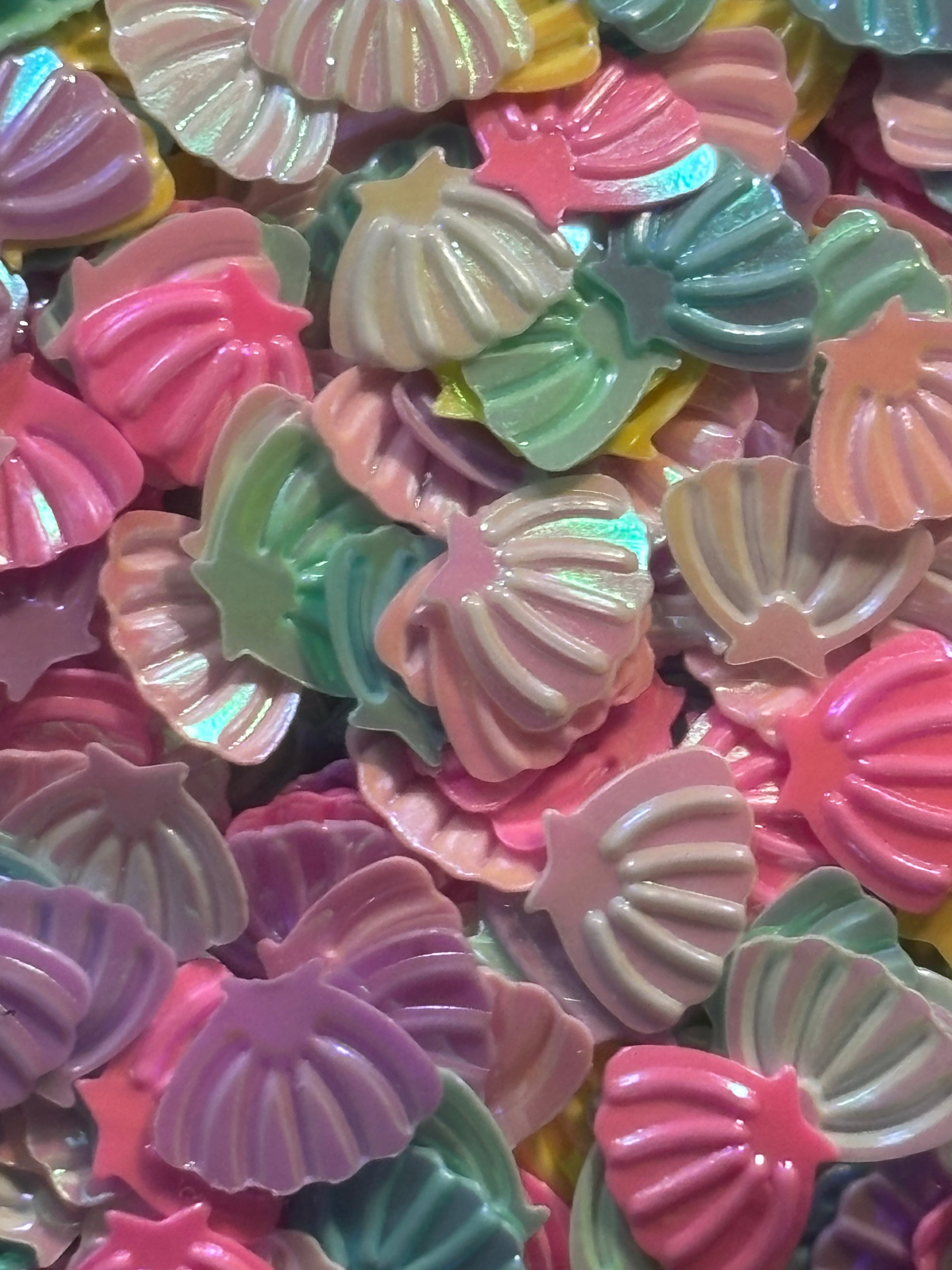 Sea Shells Colorful