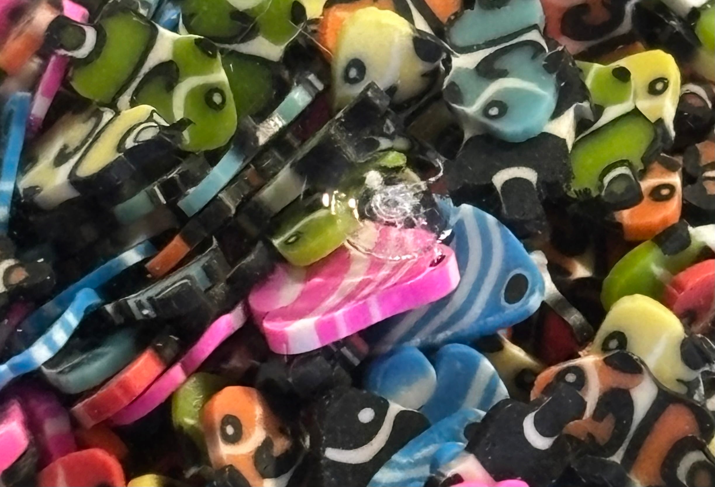 Mixed Colorful Fish