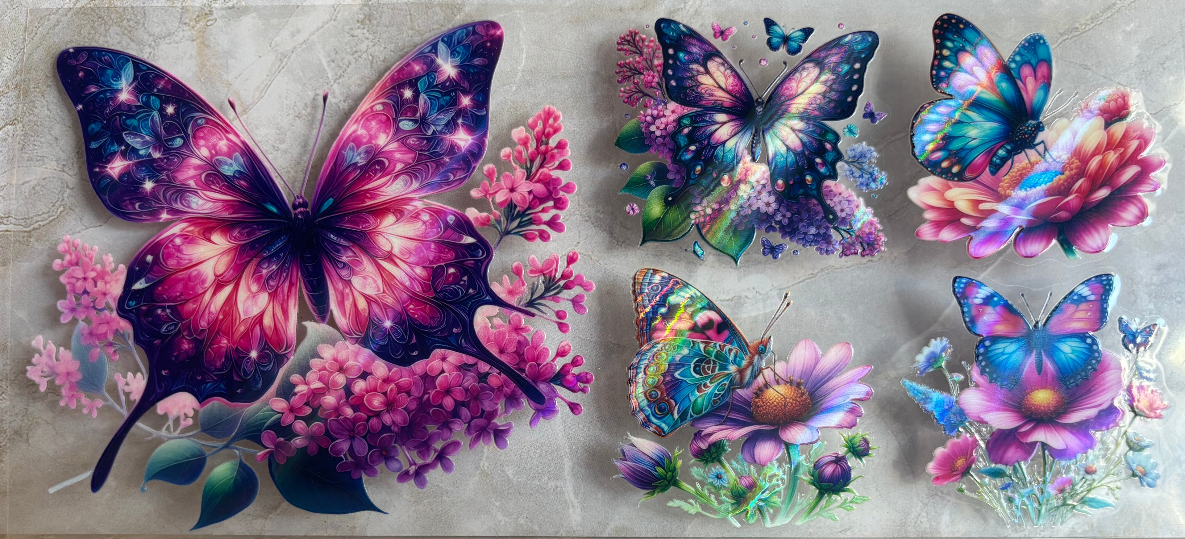 Butterfly (4)