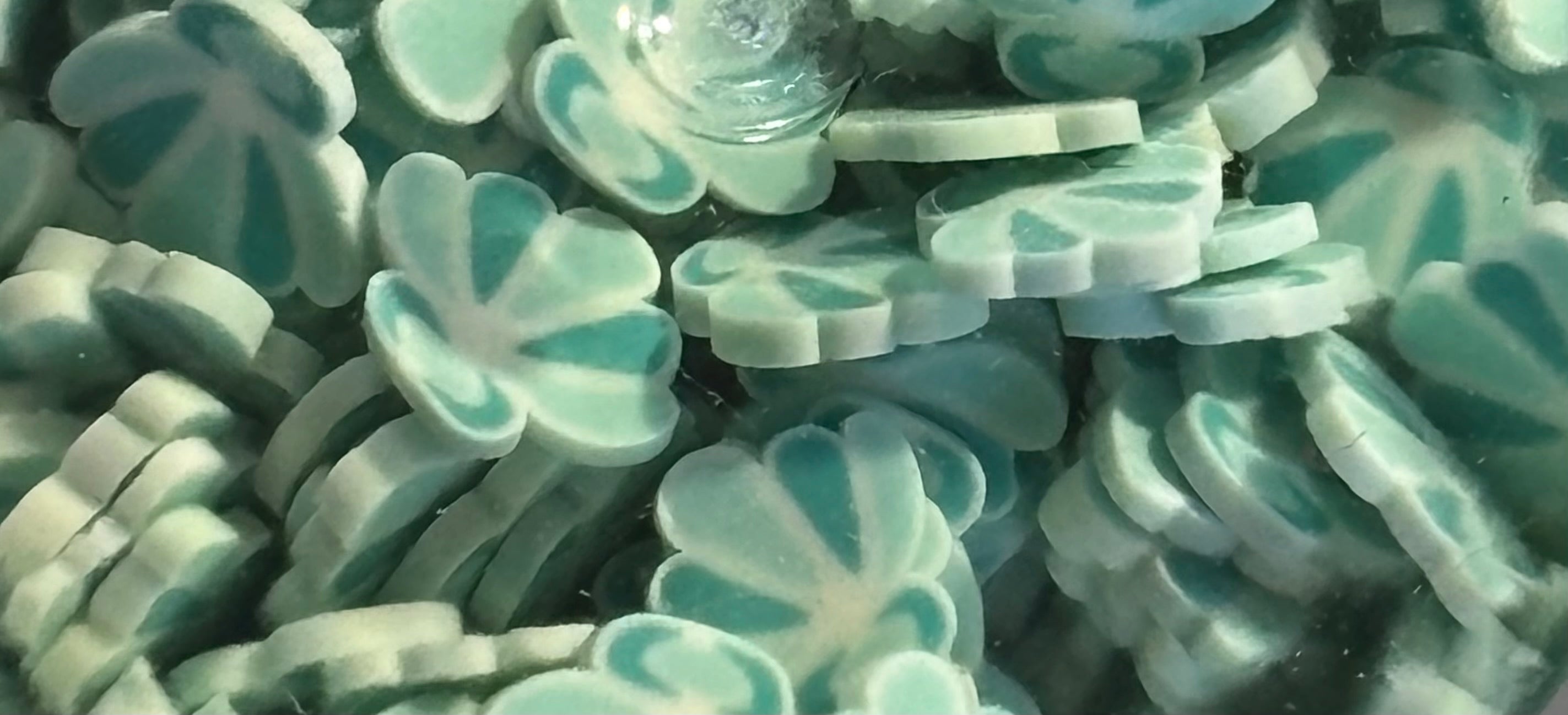 Teal Shells