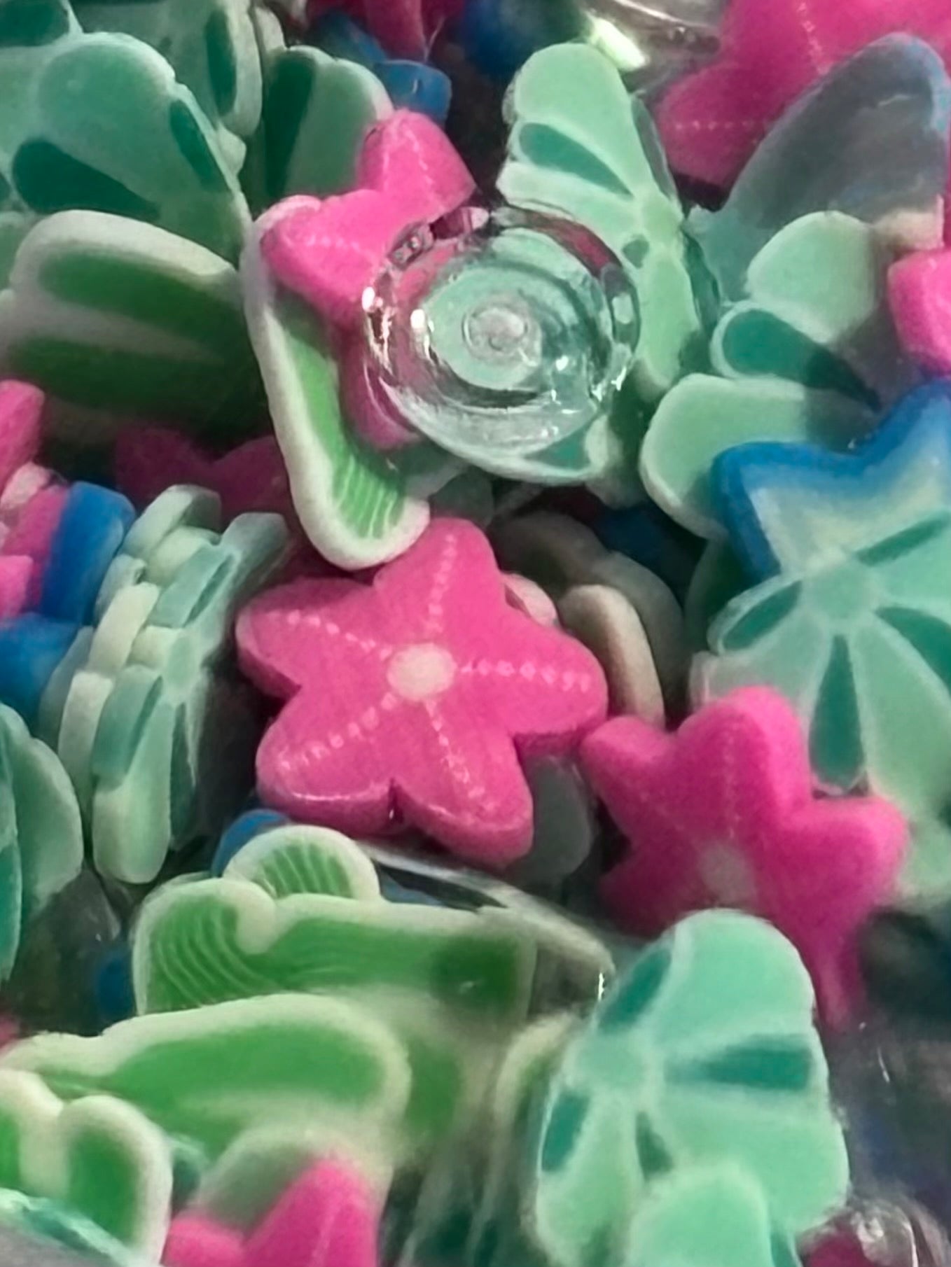 Mixed Sea Shells, Starfish and more