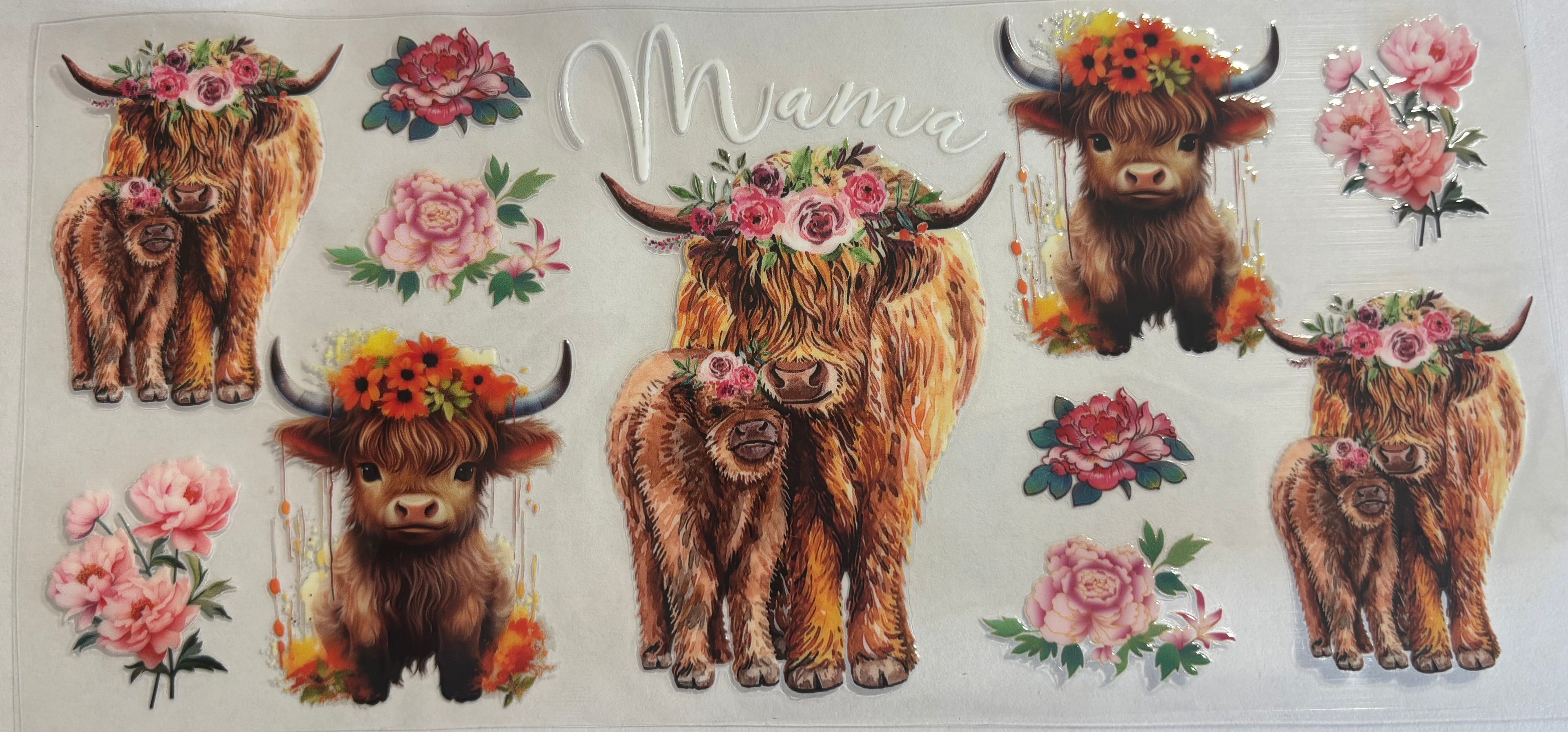 Highland cow mama
