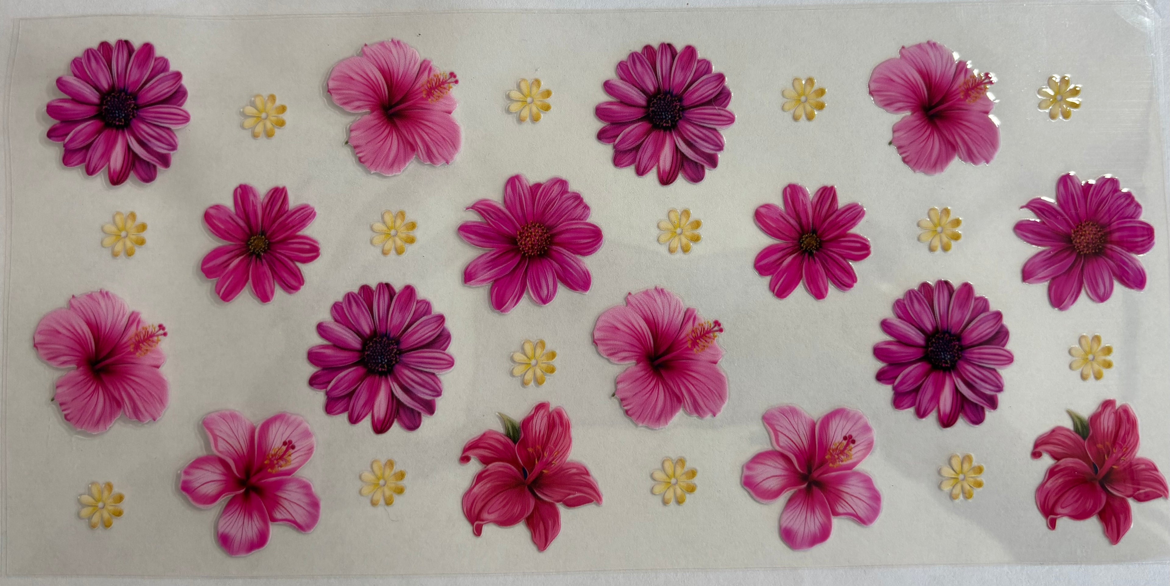 Pink Flowers
