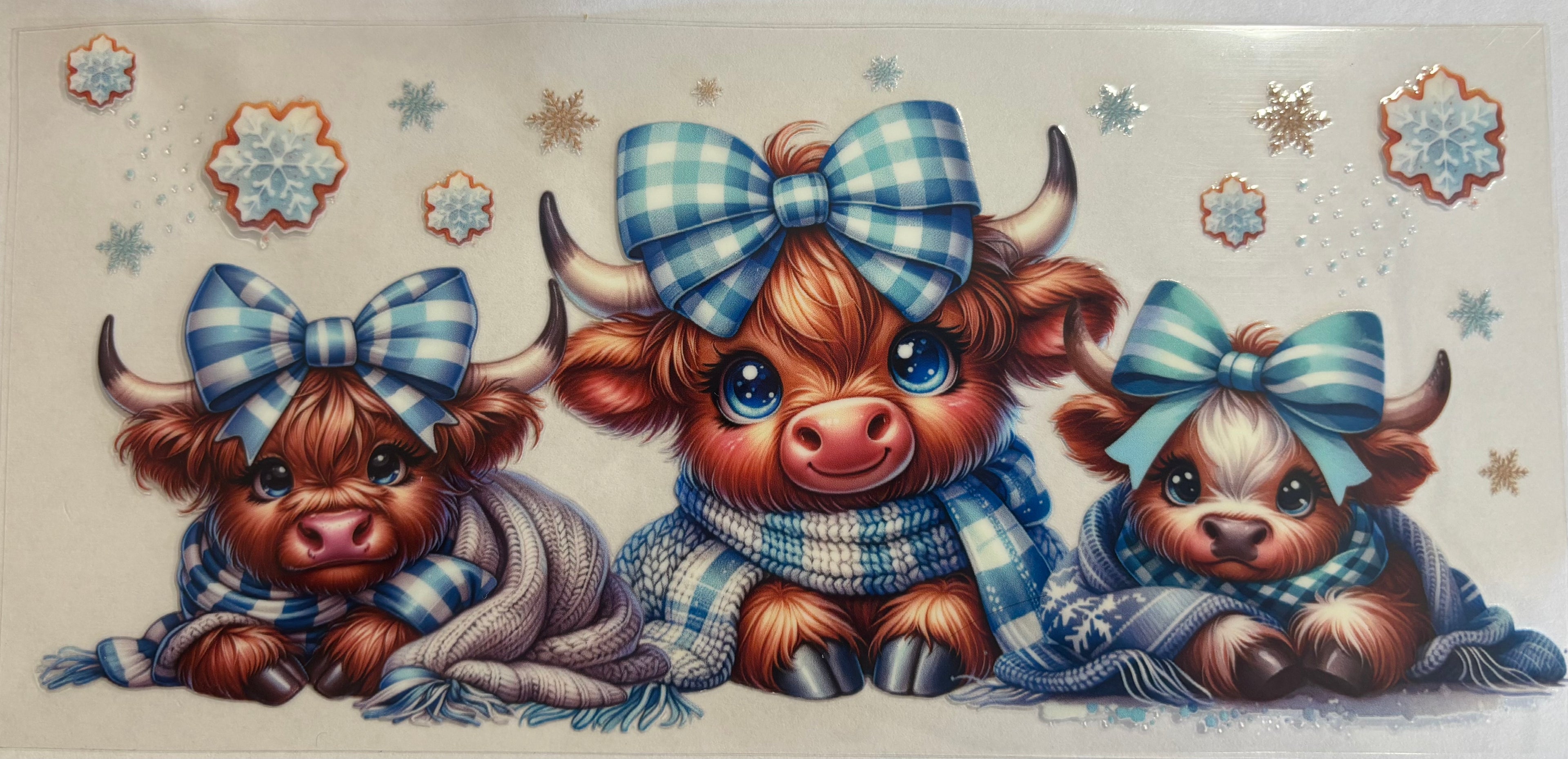 Highland Cow blue