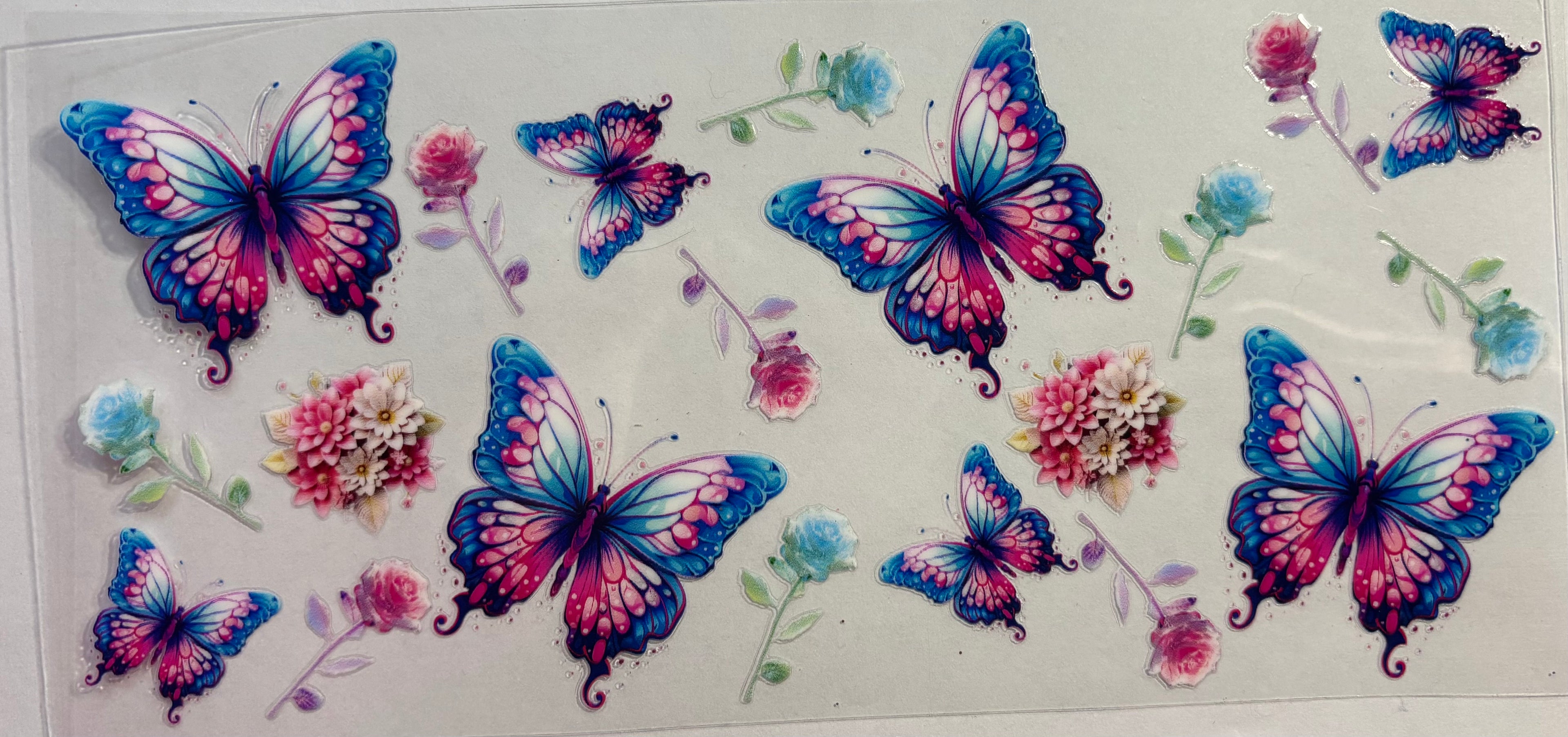 Pink and blue butterfly