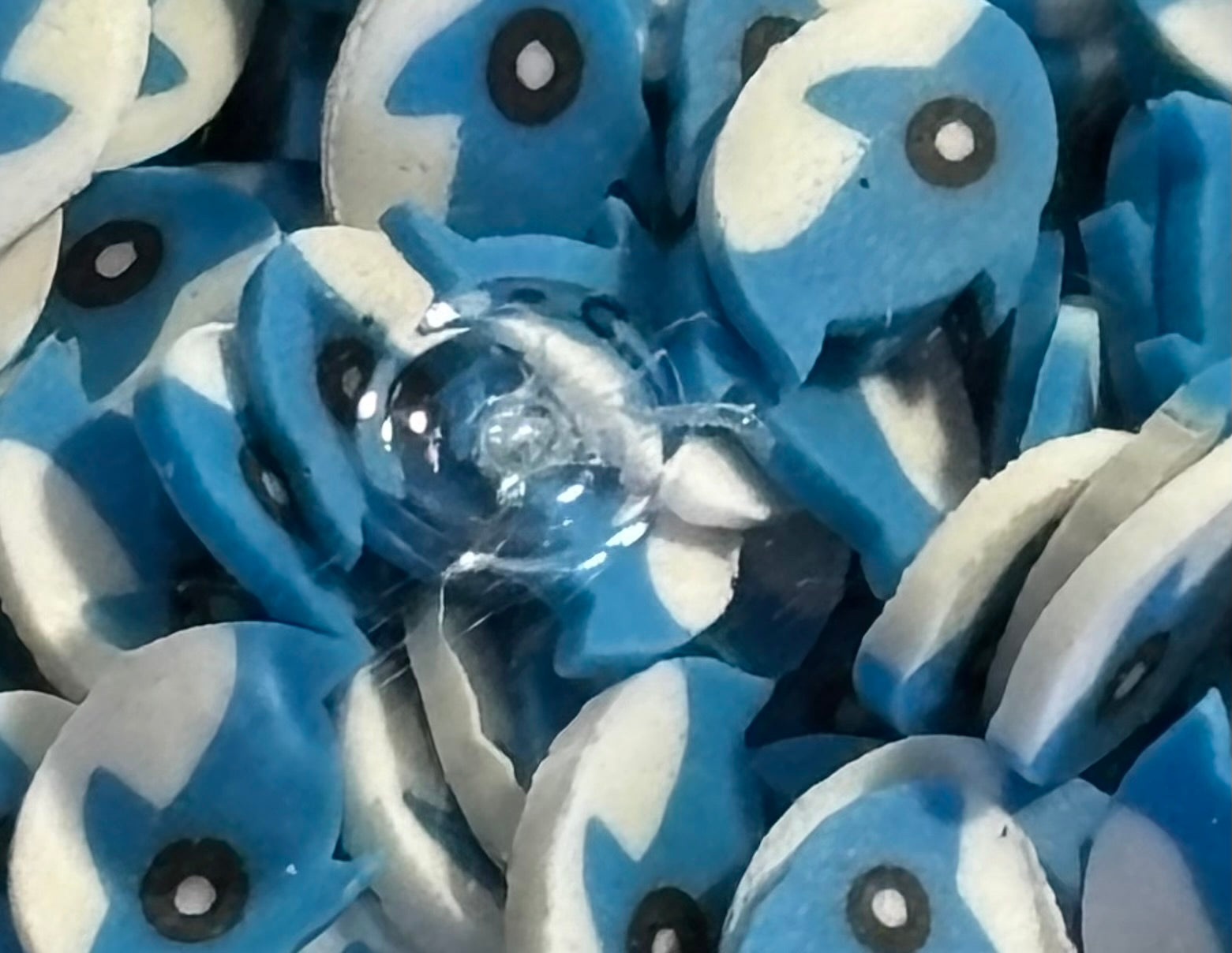 Blue Whales