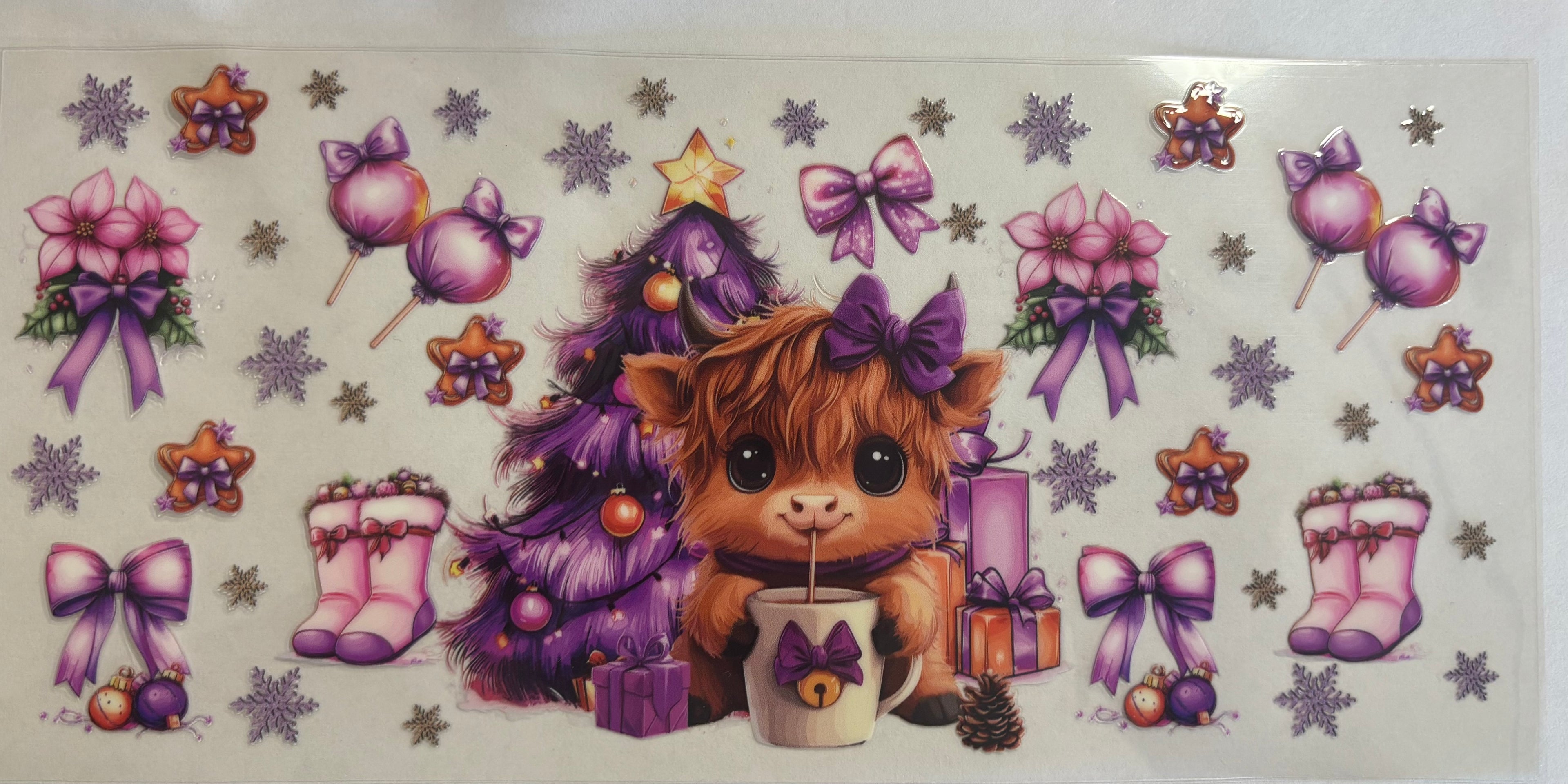 Highland, cow purple
